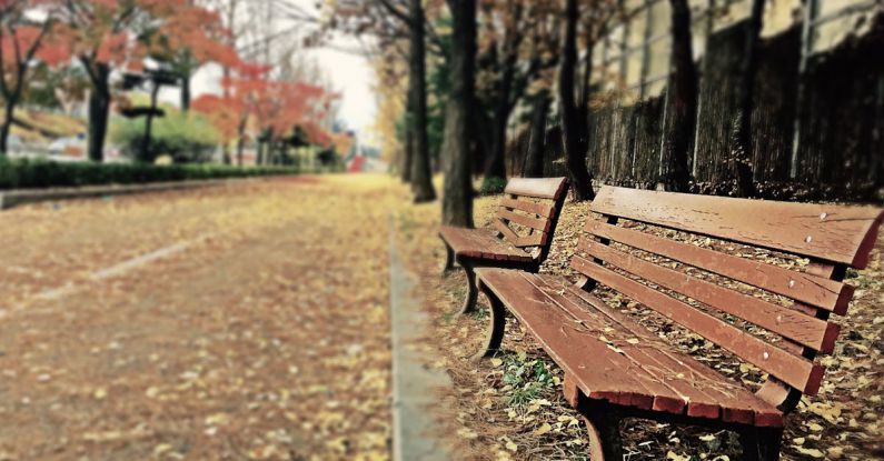 Silence - Brown Wooden Bench With Brown Dried Leaves