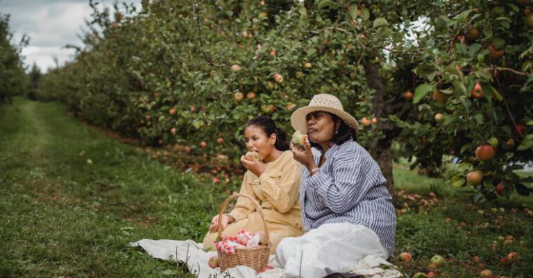 Eating - Ethnic mother and daughter eating apples during picnic